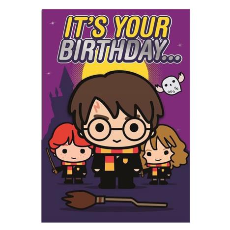 Harry Potter It's Your Birthday Card £2.50